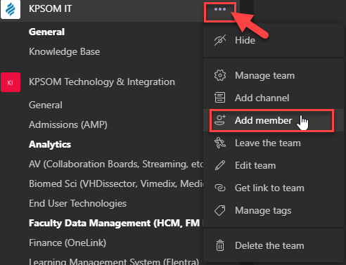 Microsoft Teams interface showing how to add a guest member by entering their email address